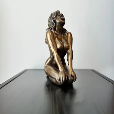 Le Calypso - De Standing - 100m De La *